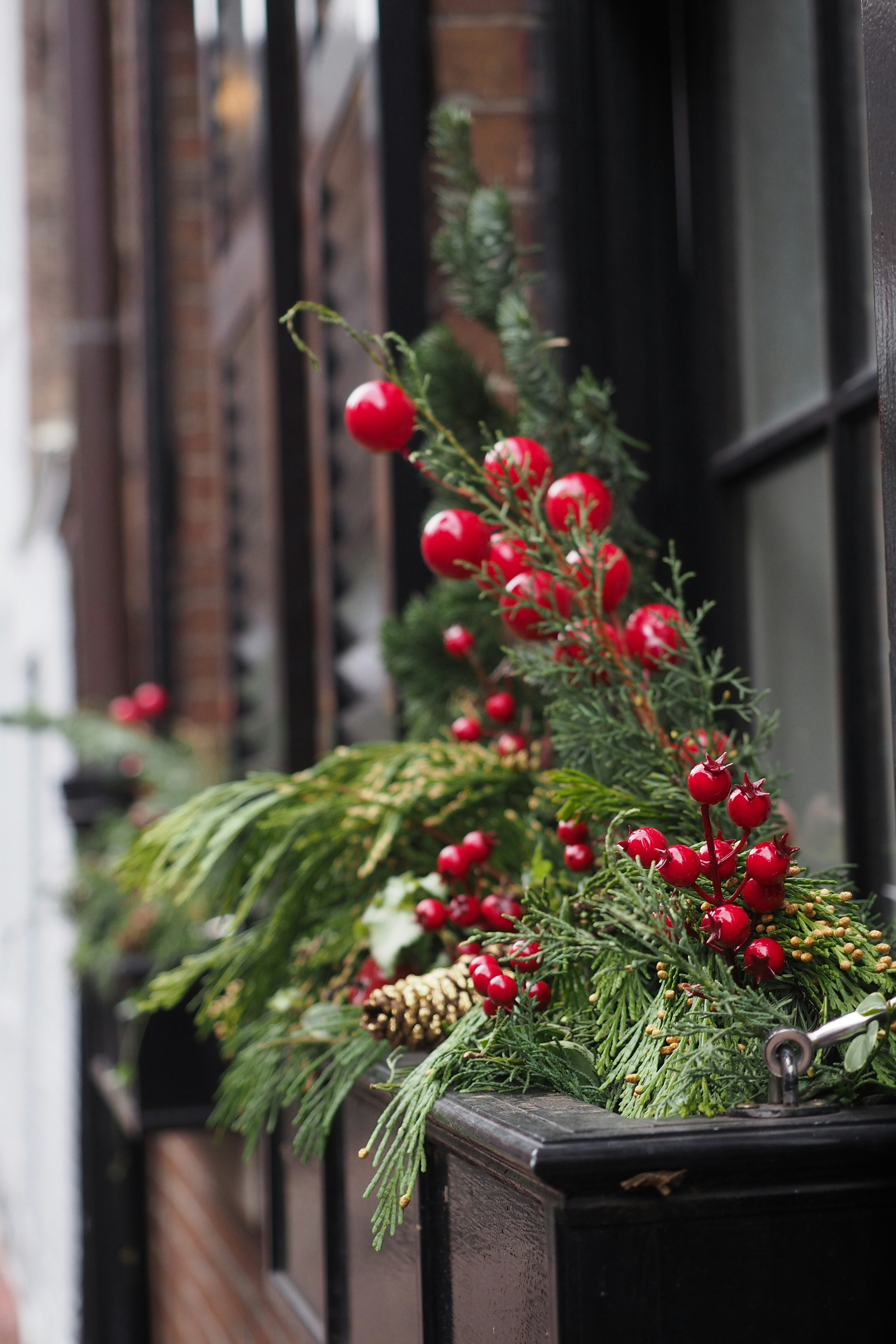a window sill filled with evergreen and red berries