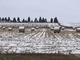 A snow-covered agricultural field is visible with several hay bales scattered across it. There are neat rows of cropped land, and a line of trees stands tall in the distant background. The overall scene appears quiet and wintery.