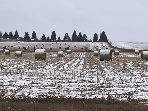 A snow-covered agricultural field is visible with several hay bales scattered across it. There are neat rows of cropped land, and a line of trees stands tall in the distant background. The overall scene appears quiet and wintery.