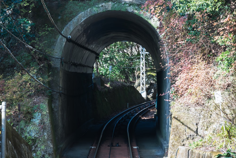 a train traveling through a tunnel next to a forest