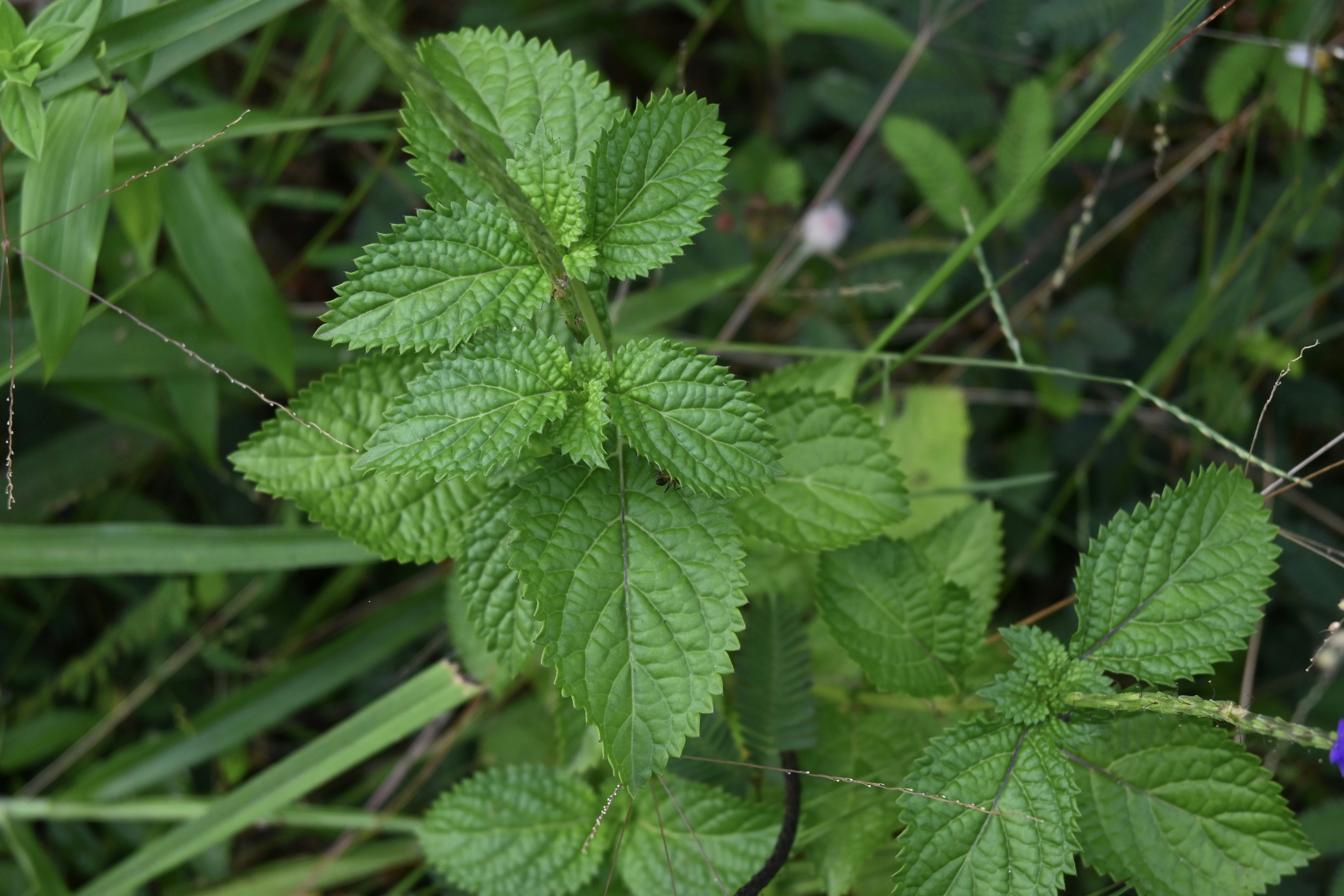 Photo by praswinprakashan