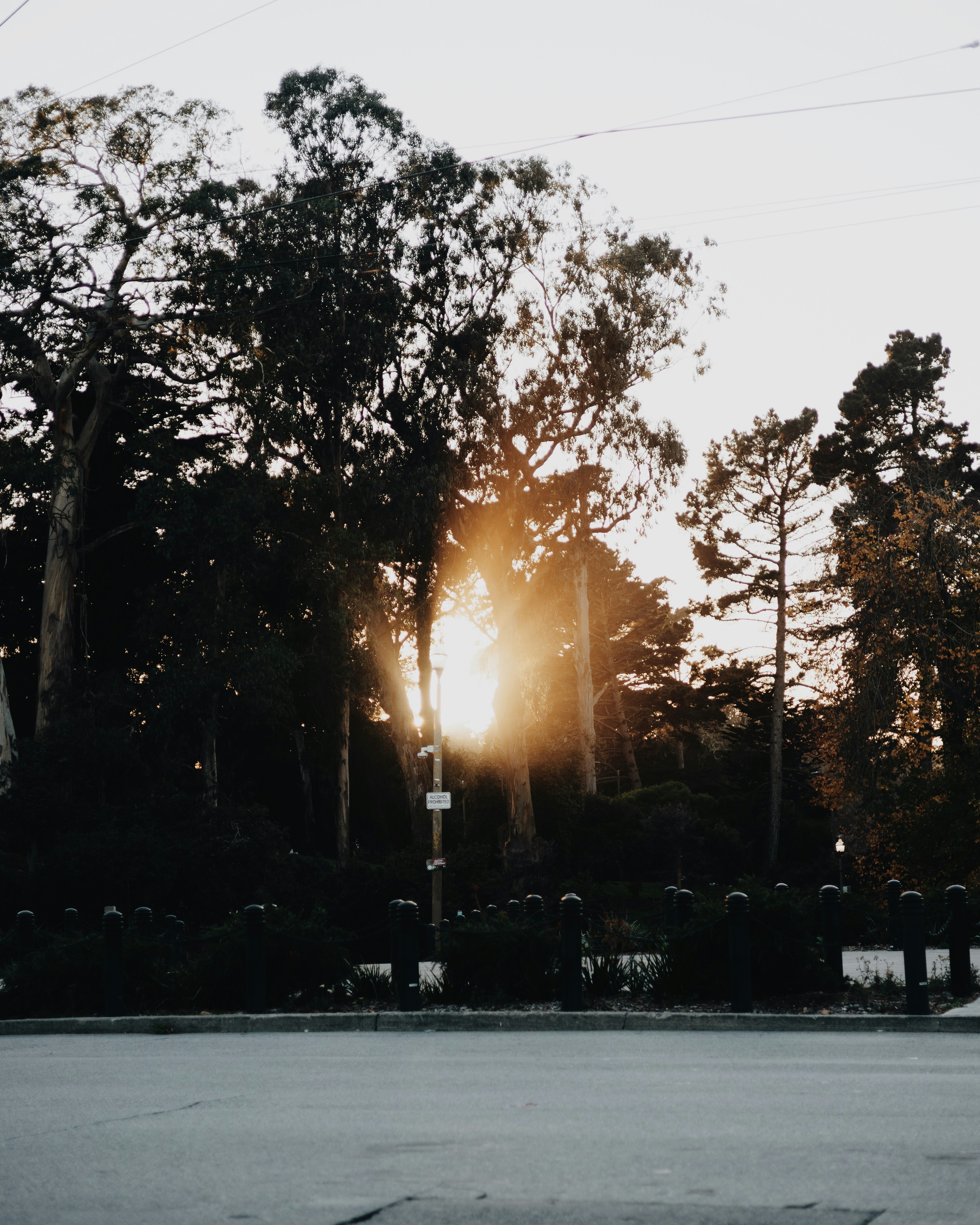 Photo by noellejlee
