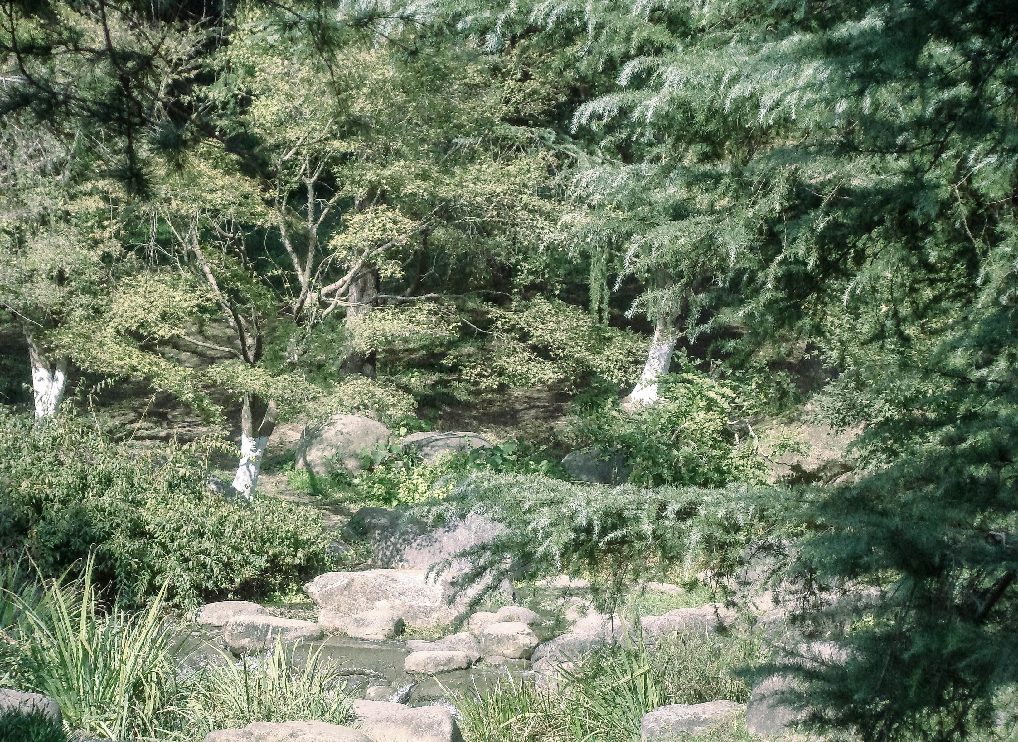 Photo by maro_of_sengu