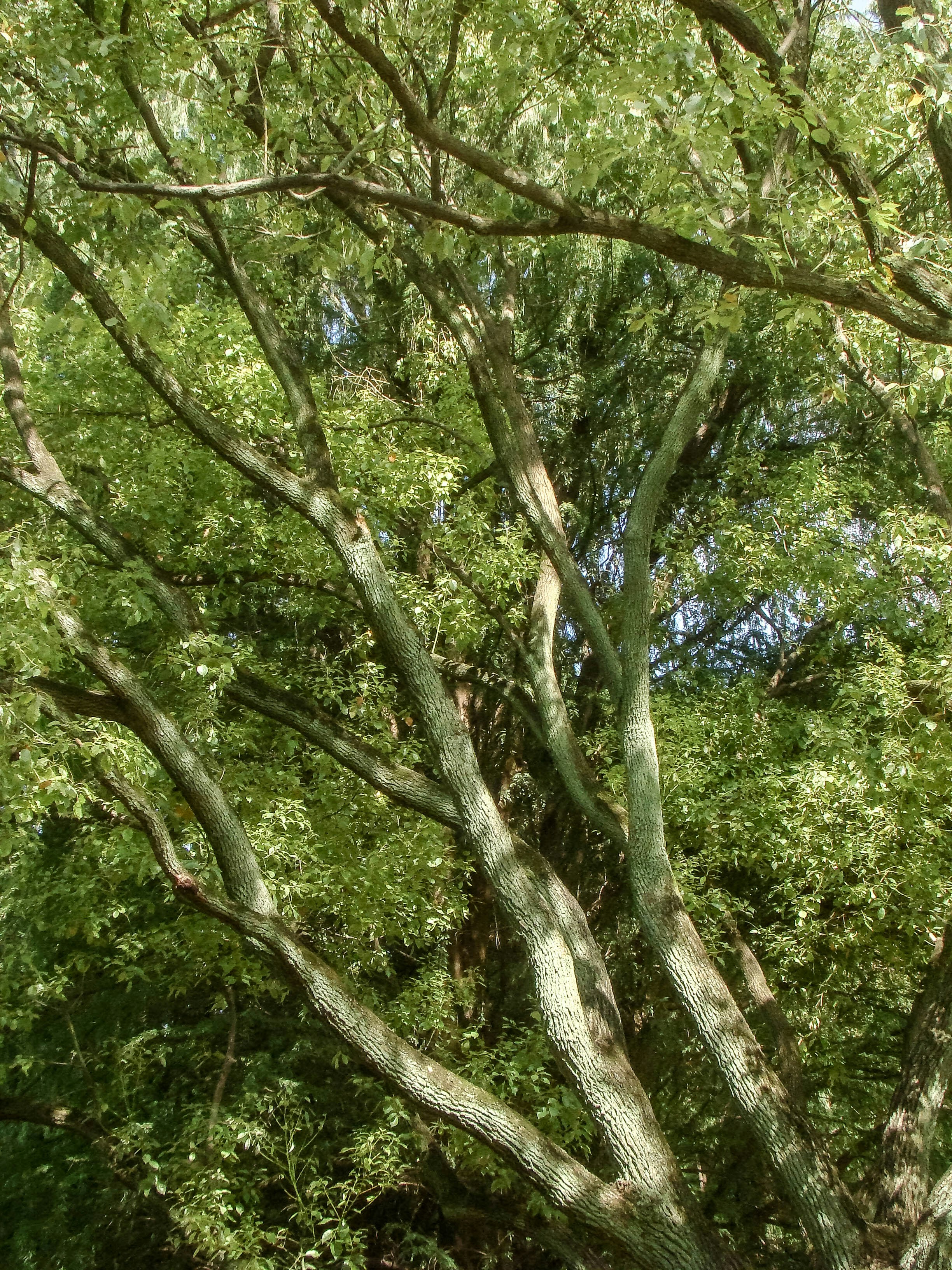 Photo by maro_of_sengu