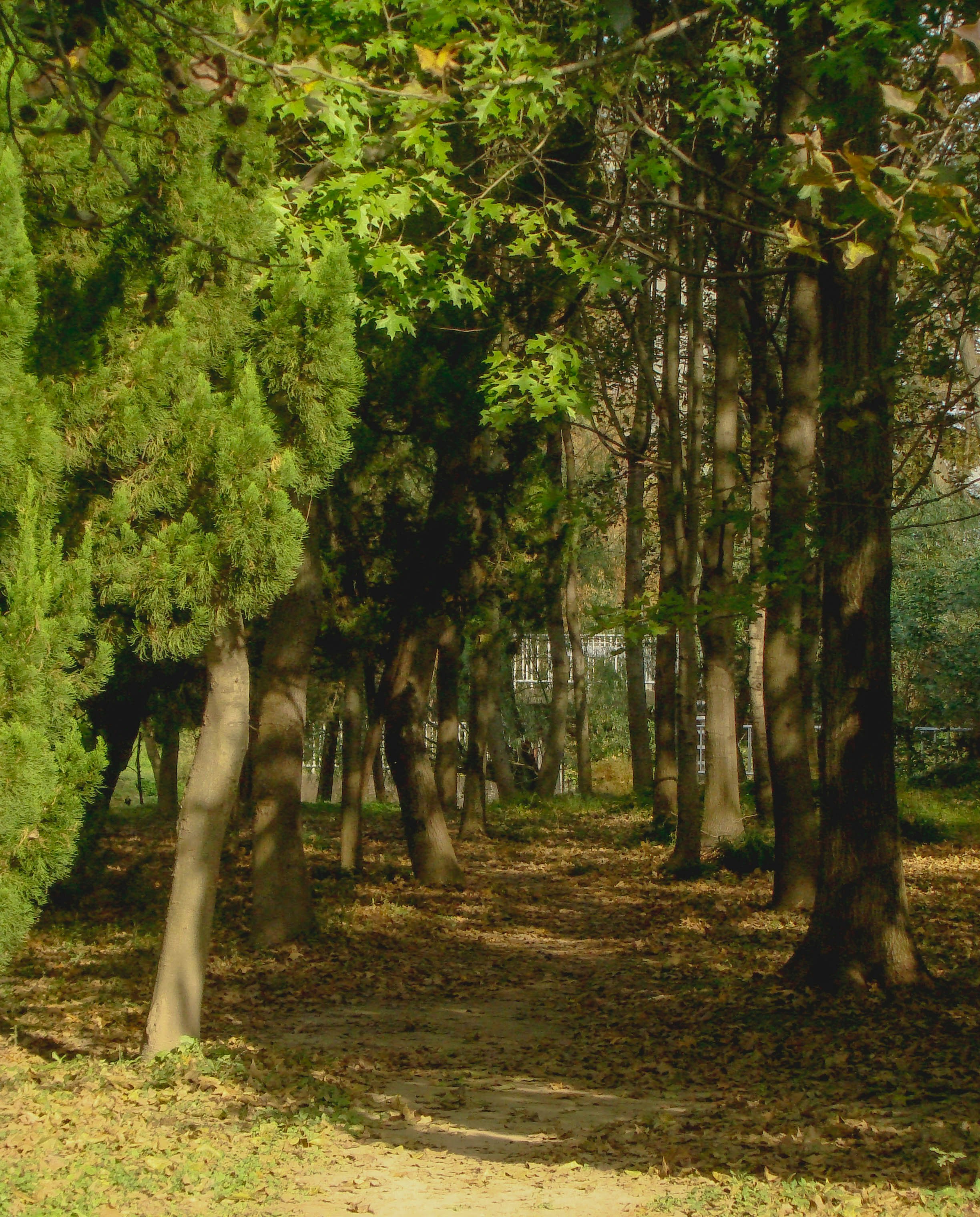 Photo by maro_of_sengu