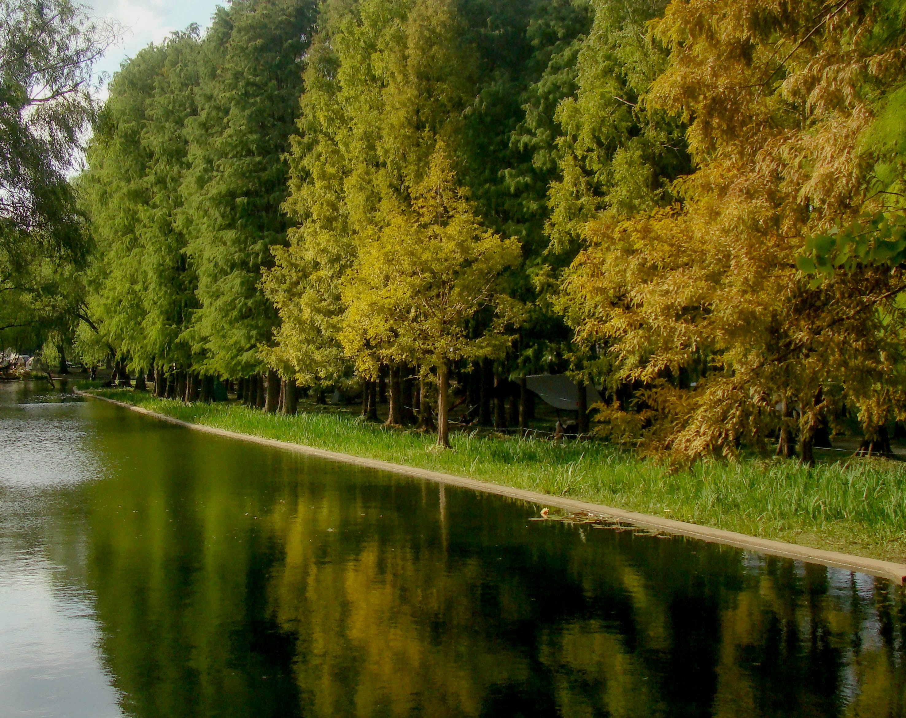 Photo by maro_of_sengu