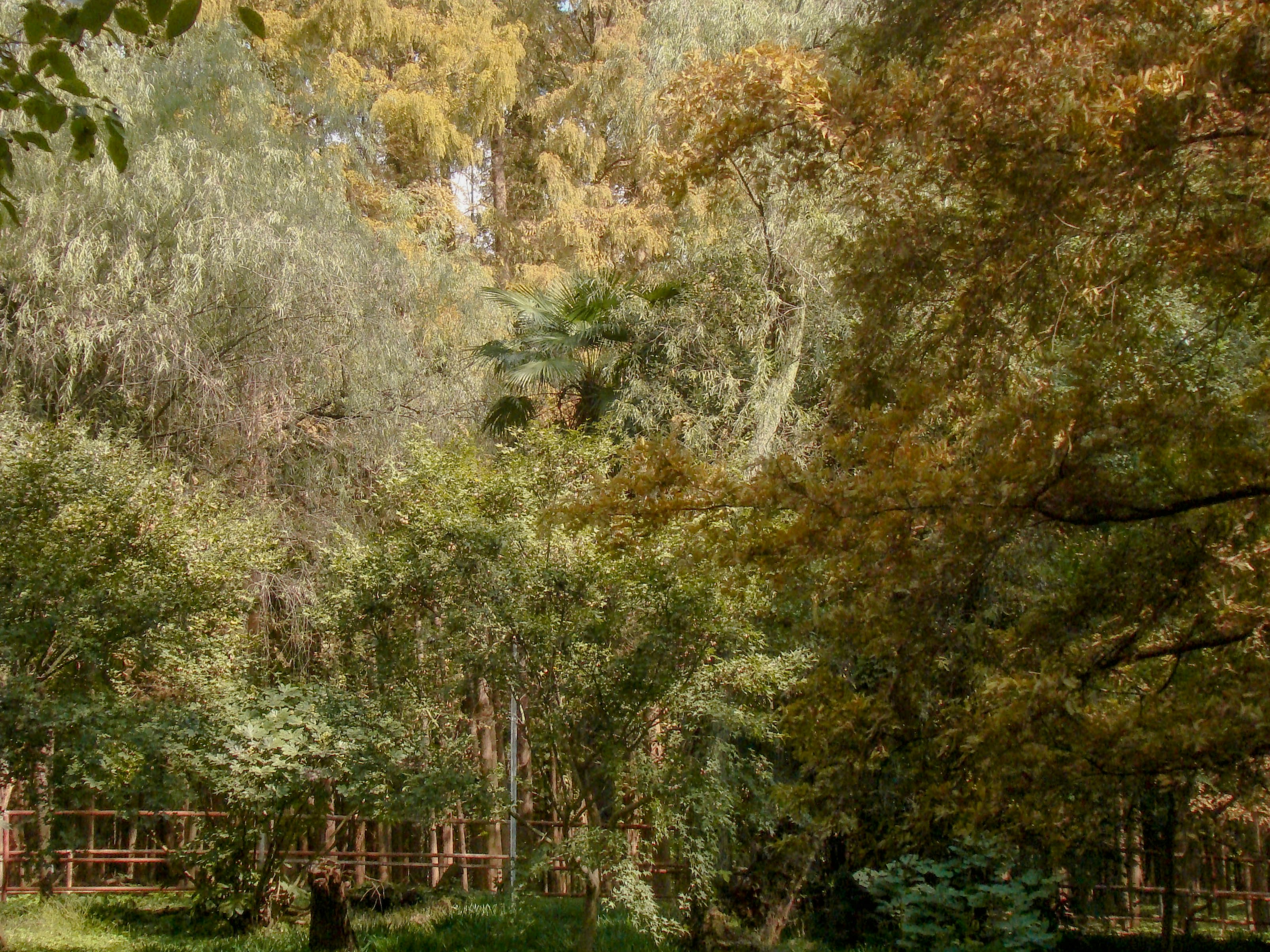 Photo by maro_of_sengu