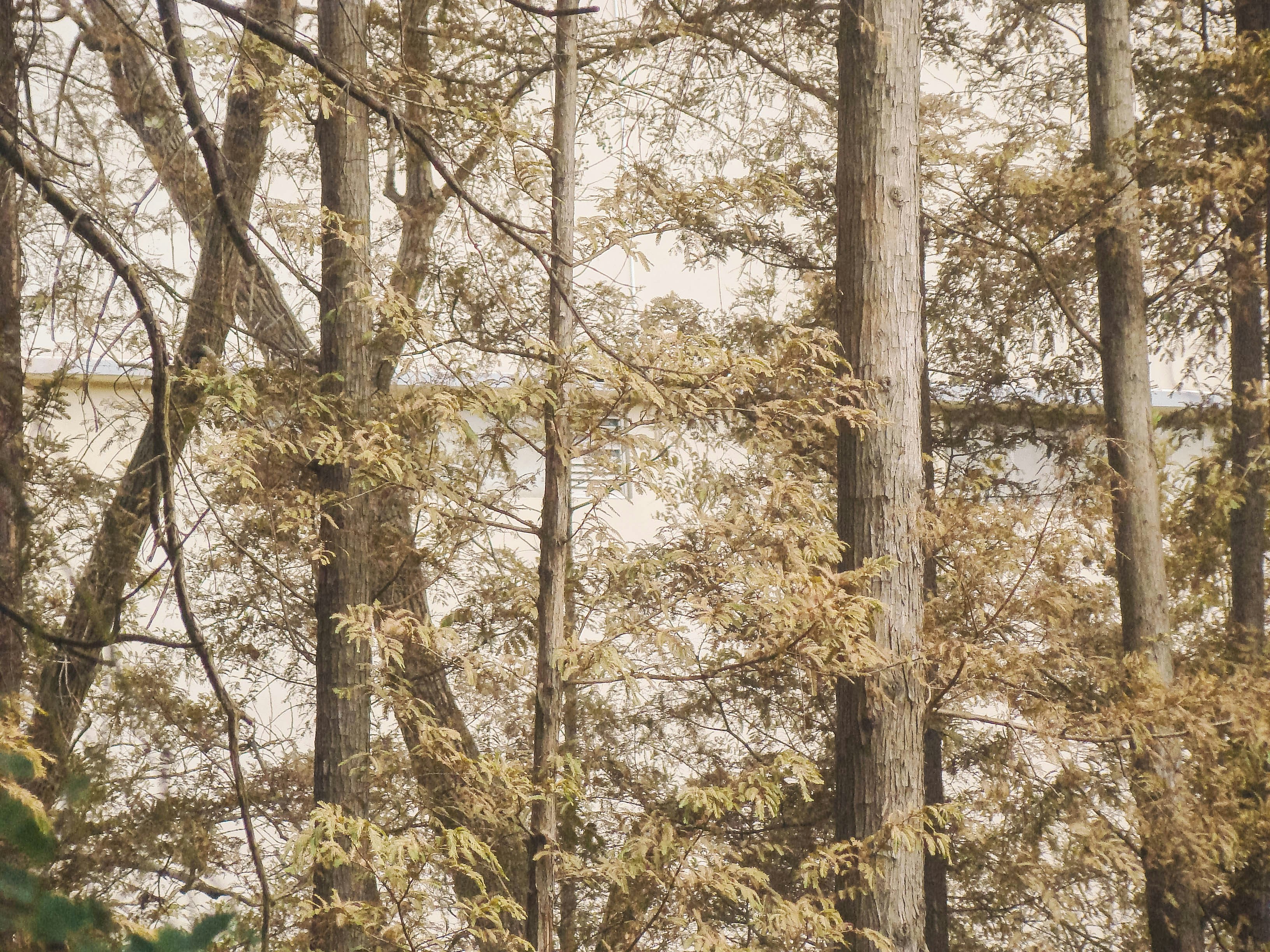 Photo by maro_of_sengu