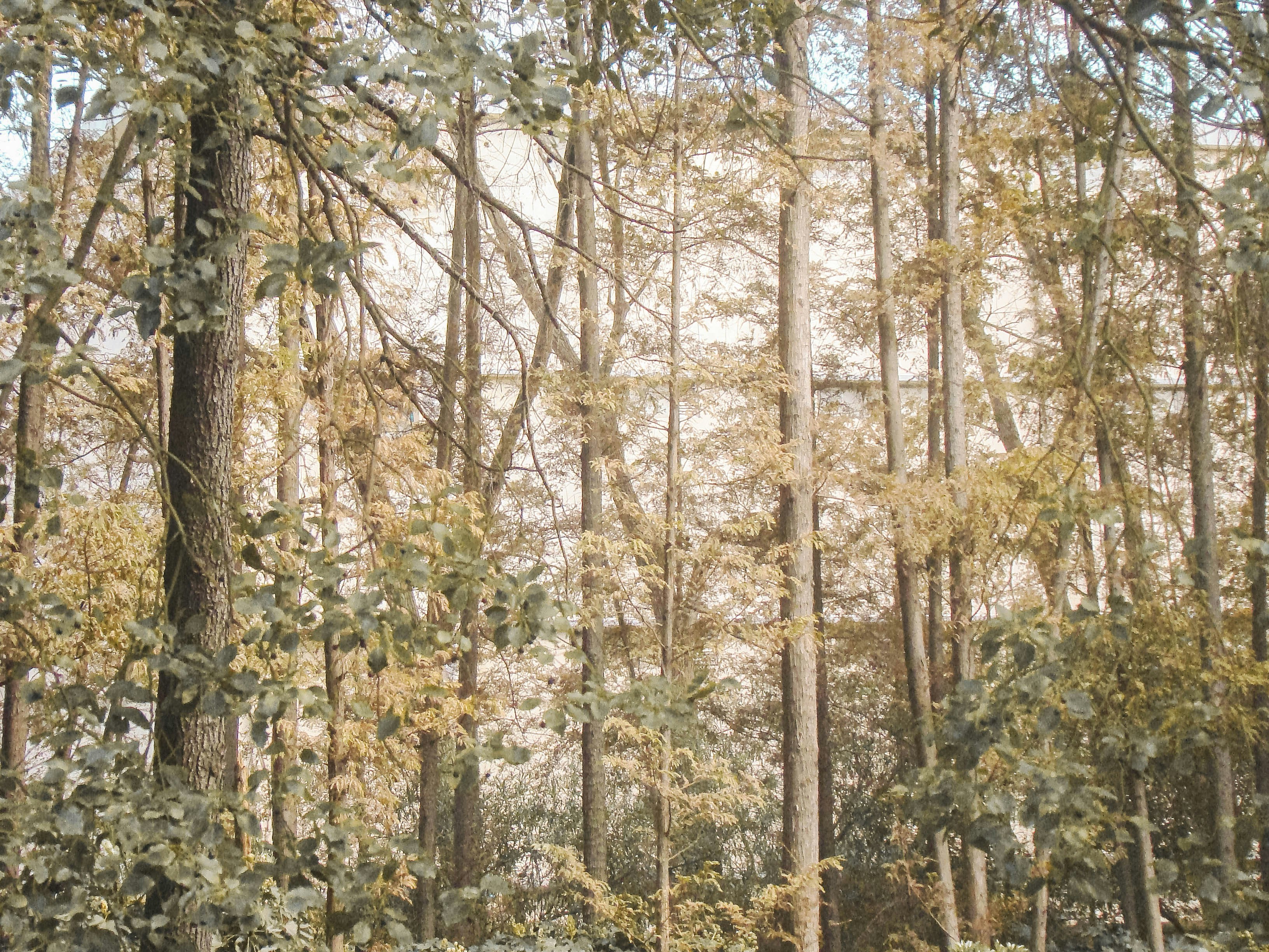 Photo by maro_of_sengu