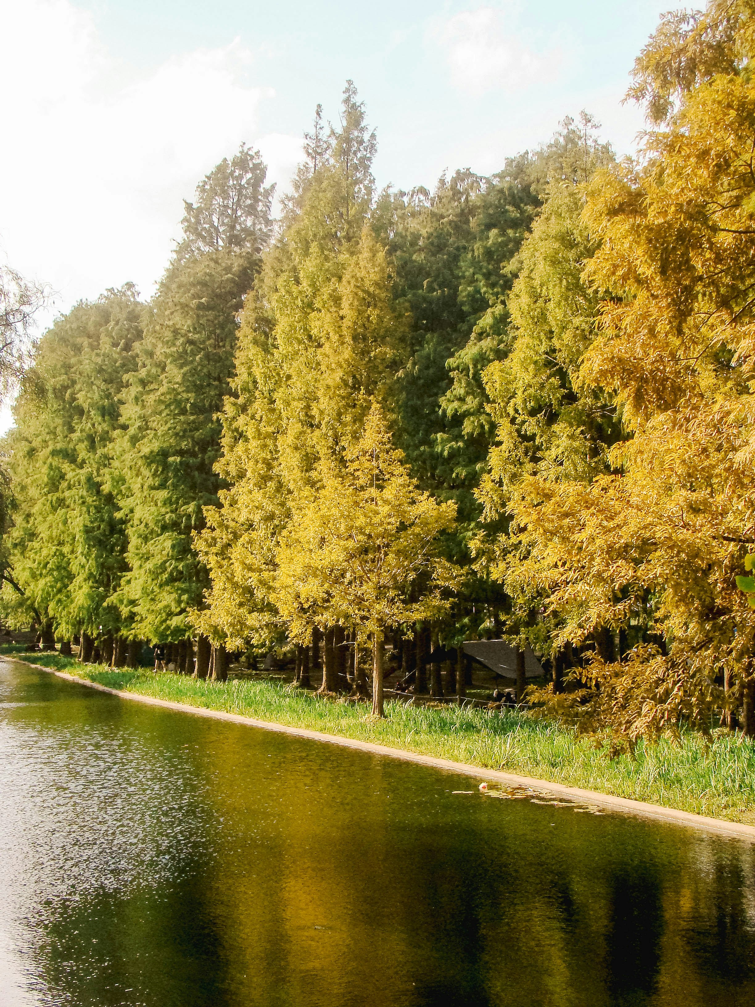 Photo by maro_of_sengu