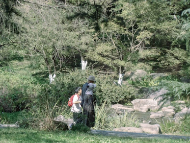 A therapist walking alongside a client in a peaceful park setting.