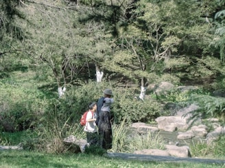 In a lush green park, two people walk along a path, surrounded by trees and shrubs. One person is carrying a backpack and the other is wearing a wide-brimmed hat. Rocks and small bushes are visible in the foreground, adding to the tranquil natural setting.