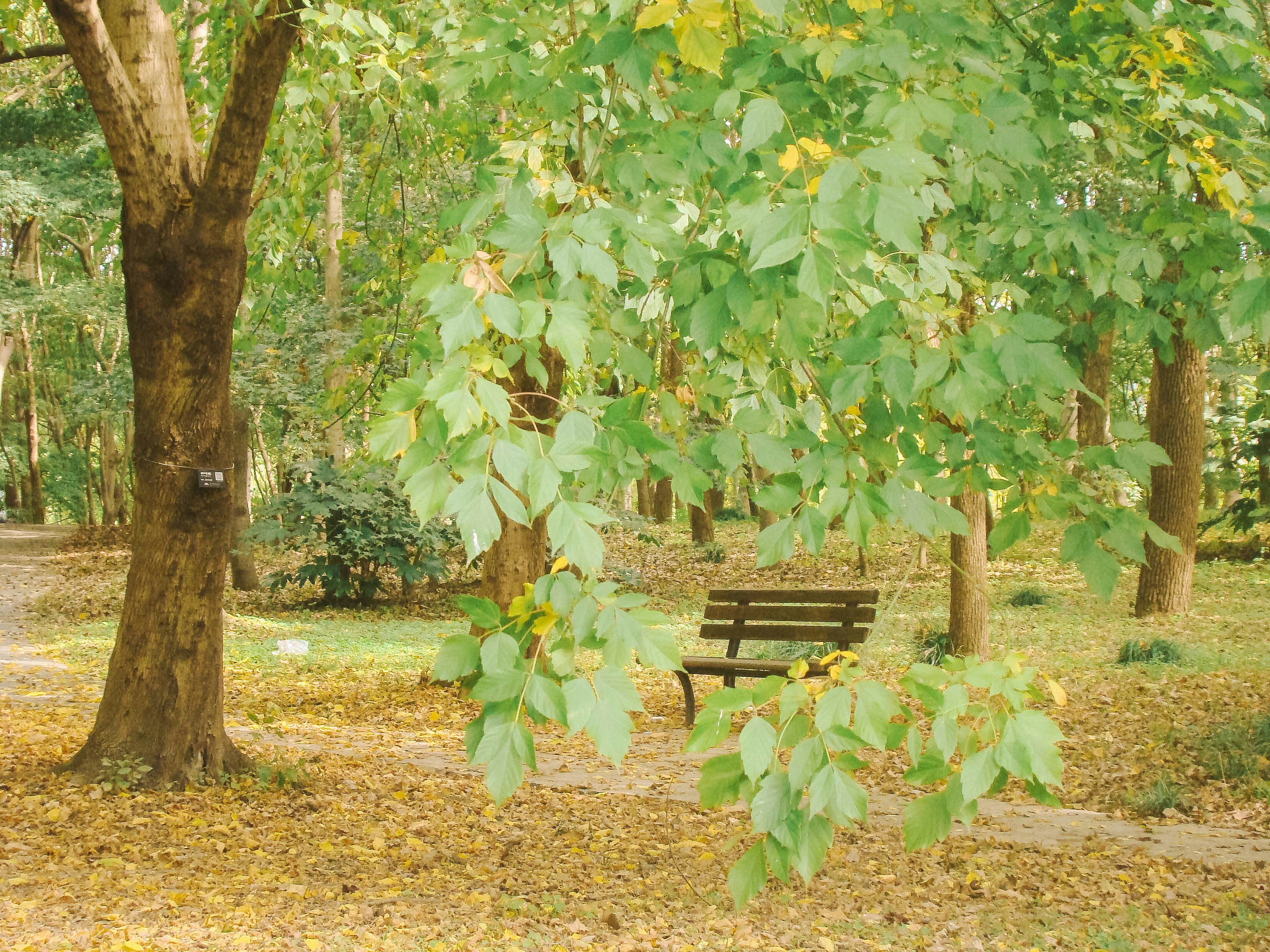 Photo by maro_of_sengu