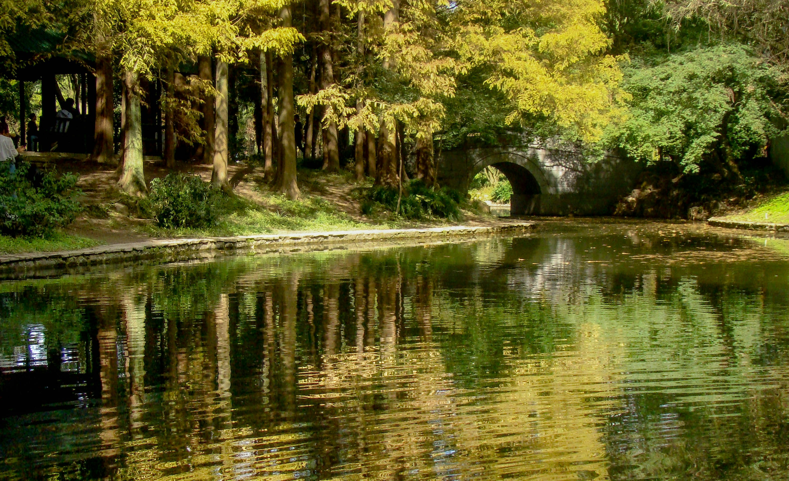 Photo by maro_of_sengu