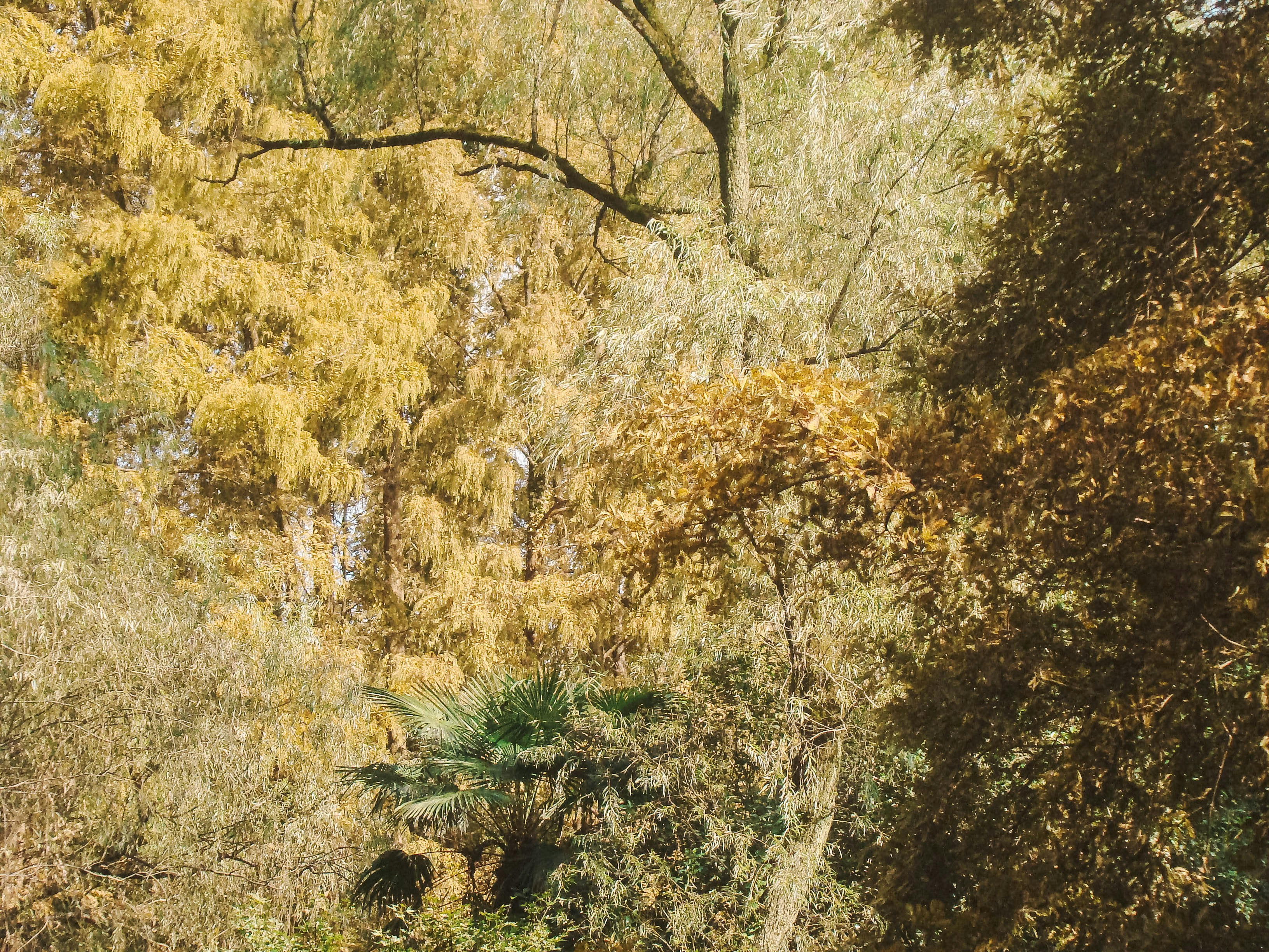 Photo by maro_of_sengu