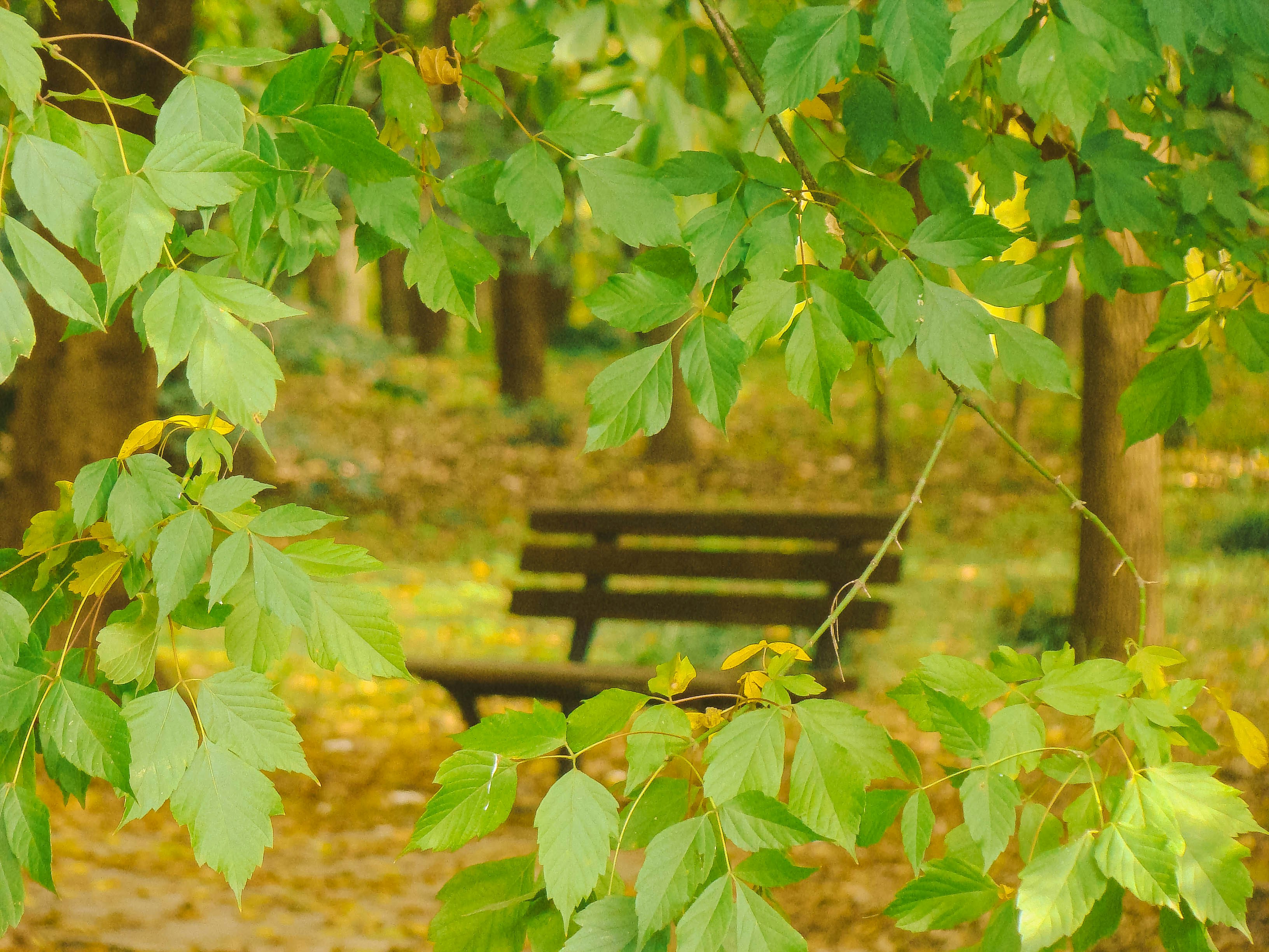 Photo by maro_of_sengu