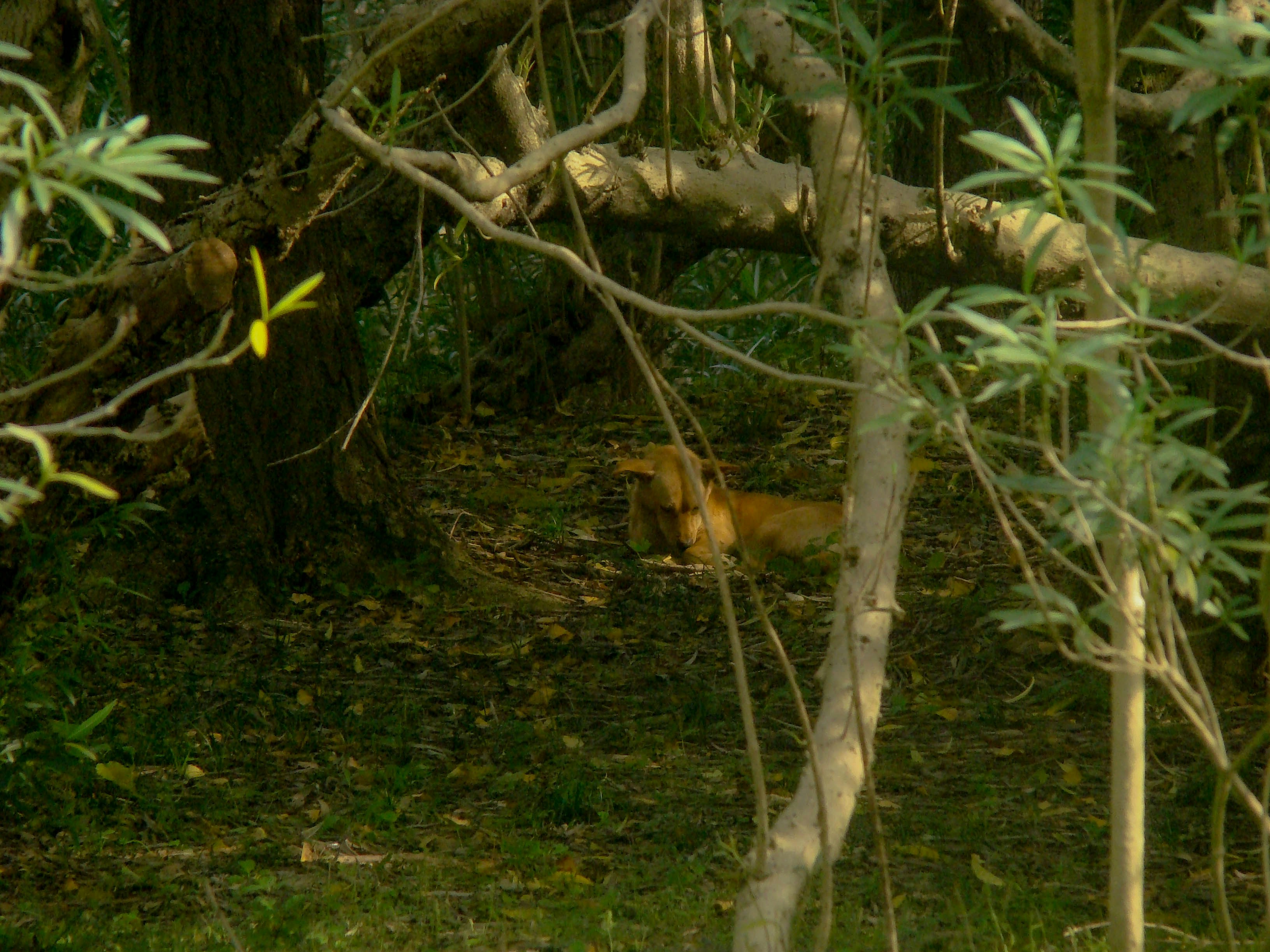 Photo by maro_of_sengu