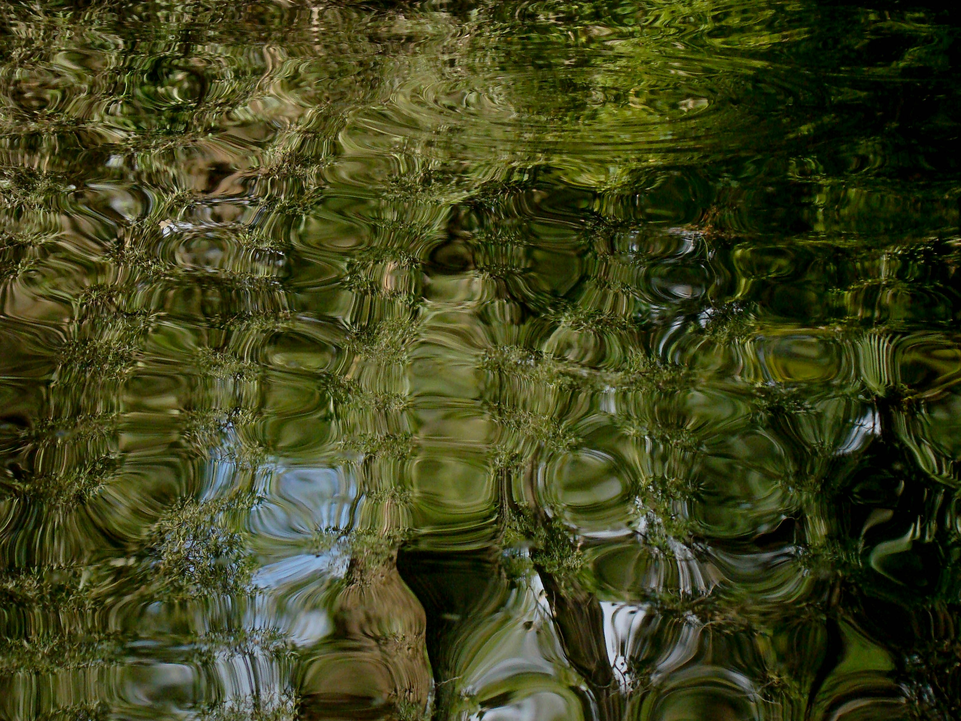 Photo by maro_of_sengu