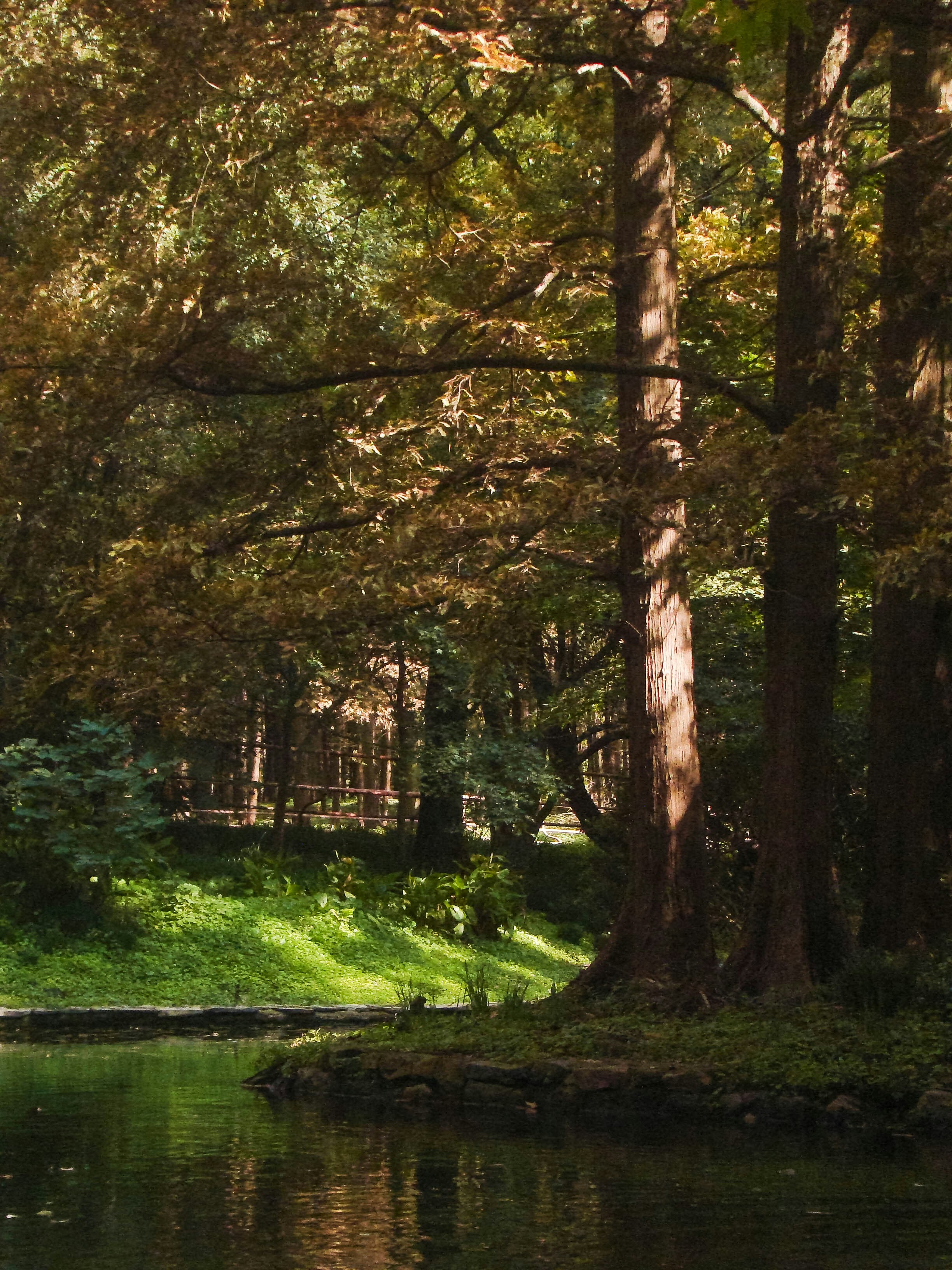 Photo by maro_of_sengu