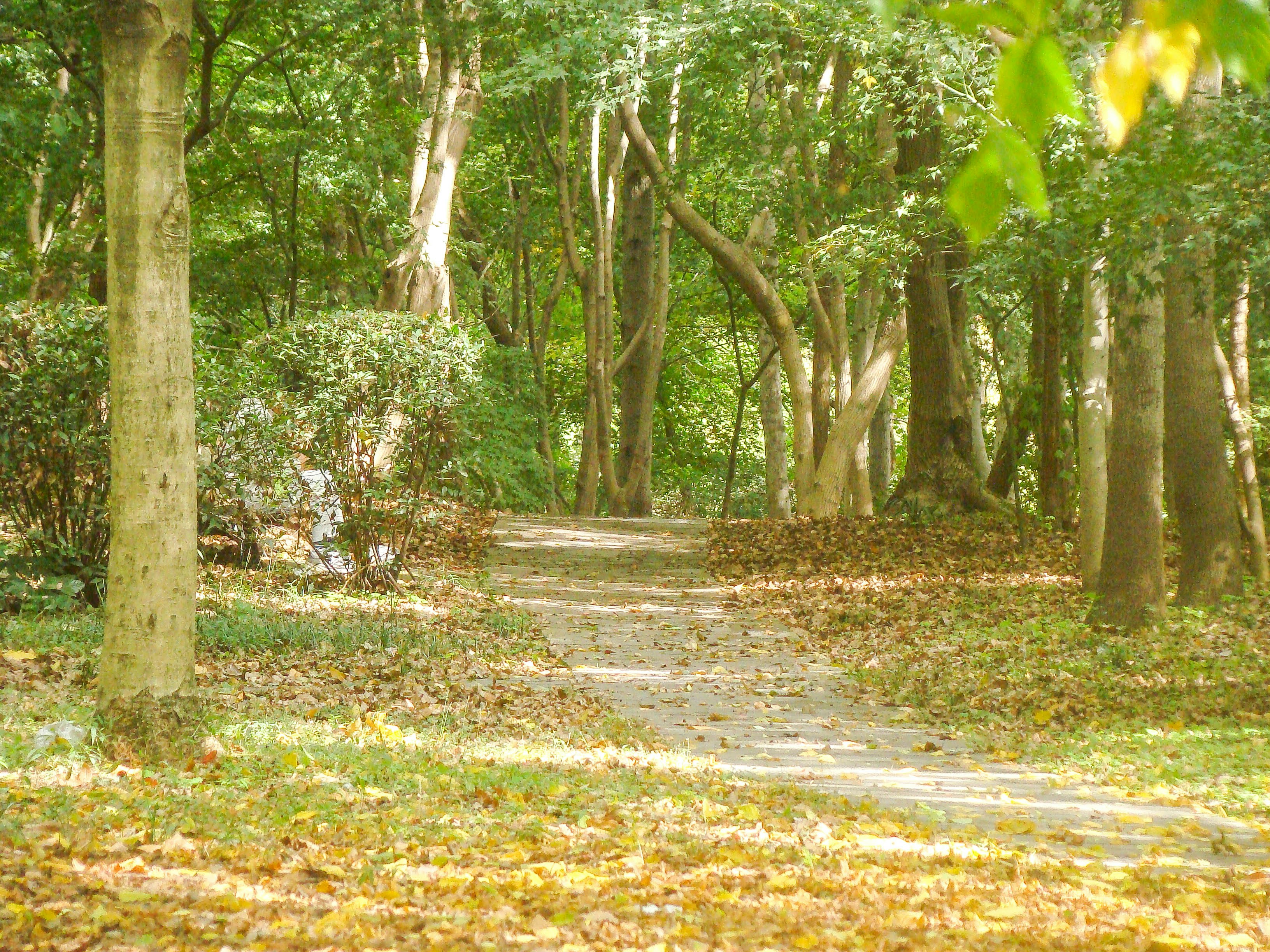 Photo by maro_of_sengu