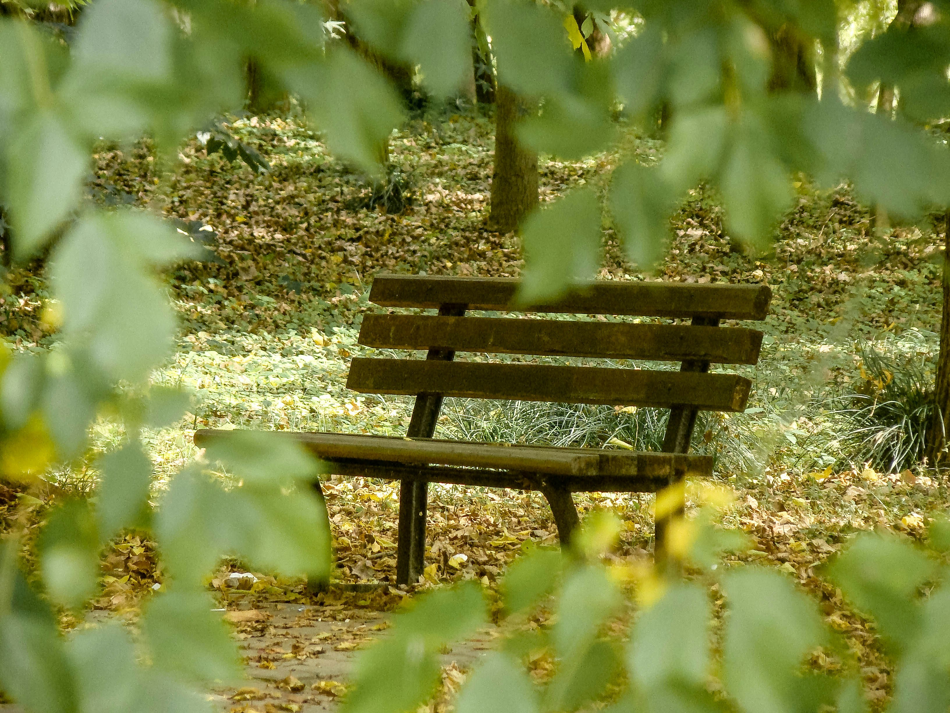 Photo by maro_of_sengu