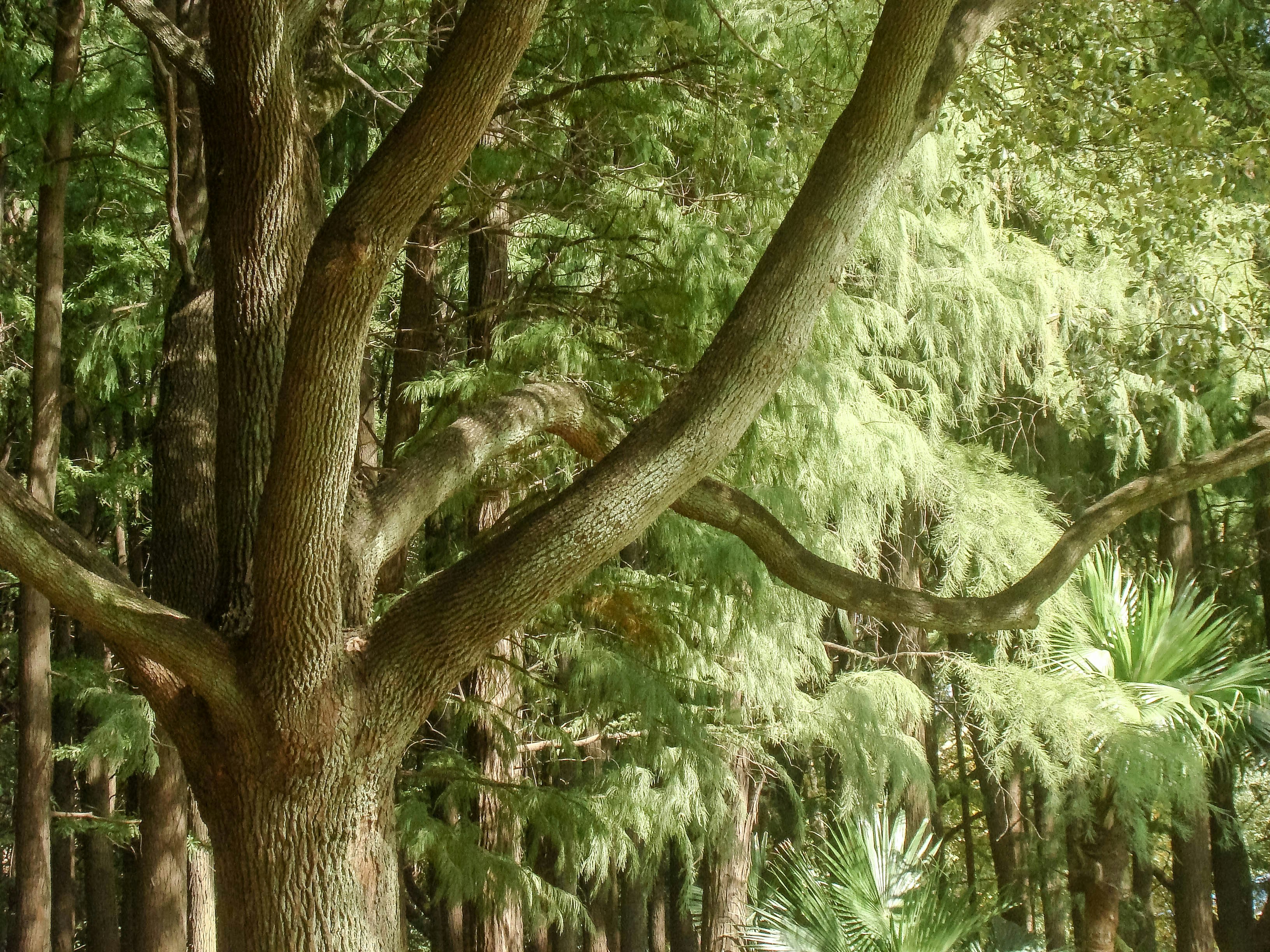 Photo by maro_of_sengu