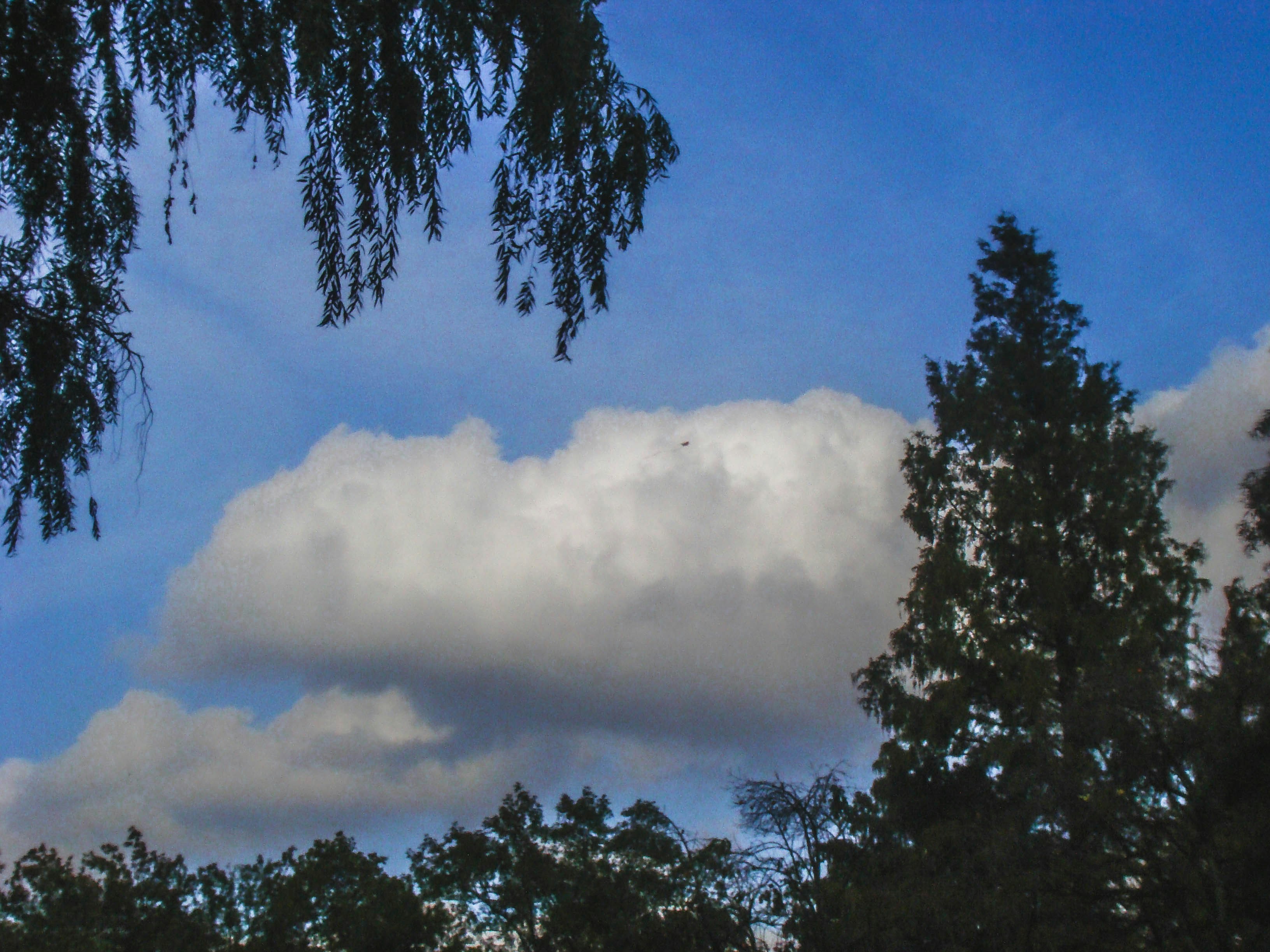 Photo by maro_of_sengu