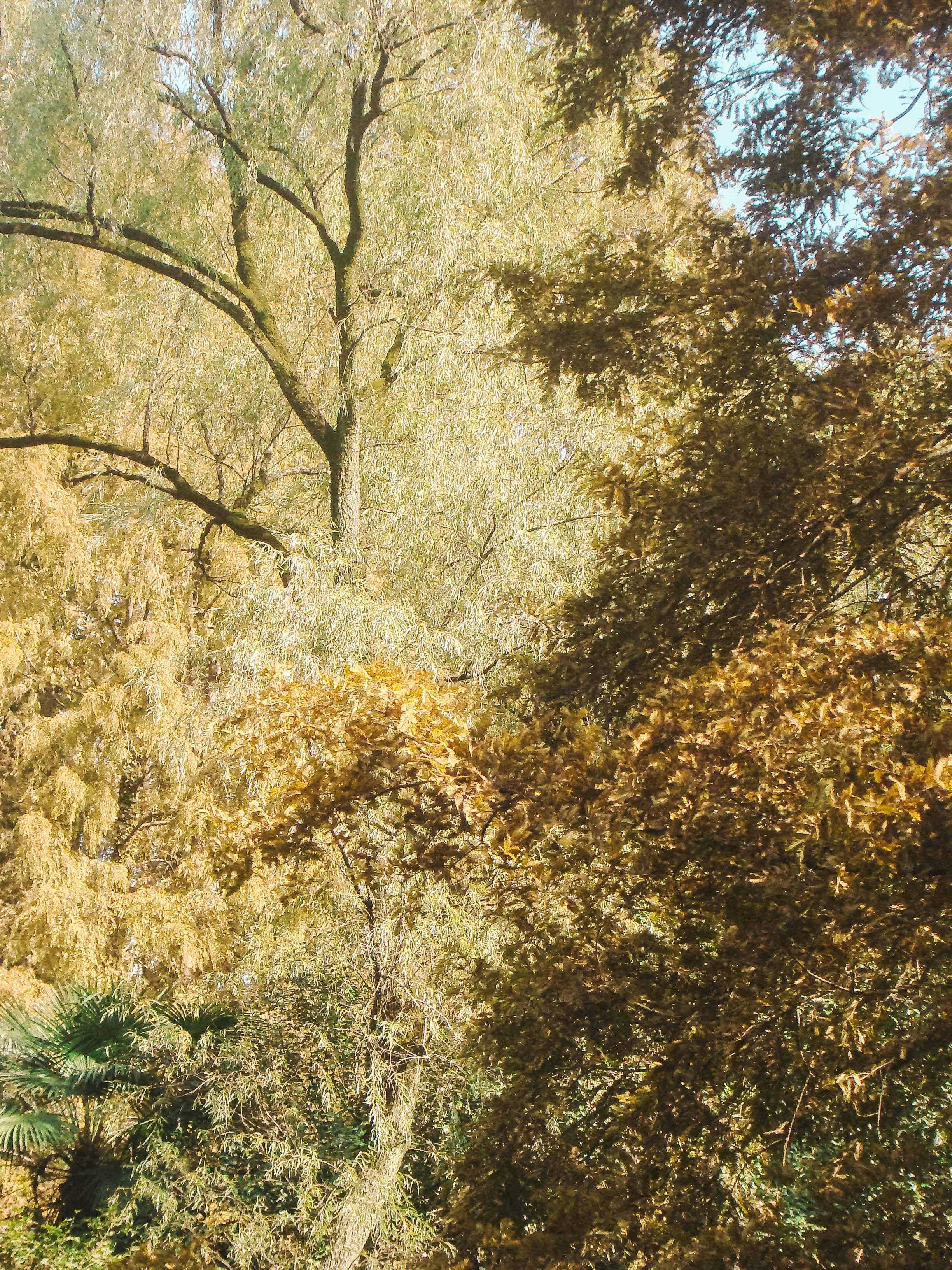 Photo by maro_of_sengu