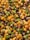 A close-up view of multicolored popcorn, featuring vibrant shades of green, brown, yellow, and white. Each piece is coated with assorted flavors and appears crunchy and appetizing.