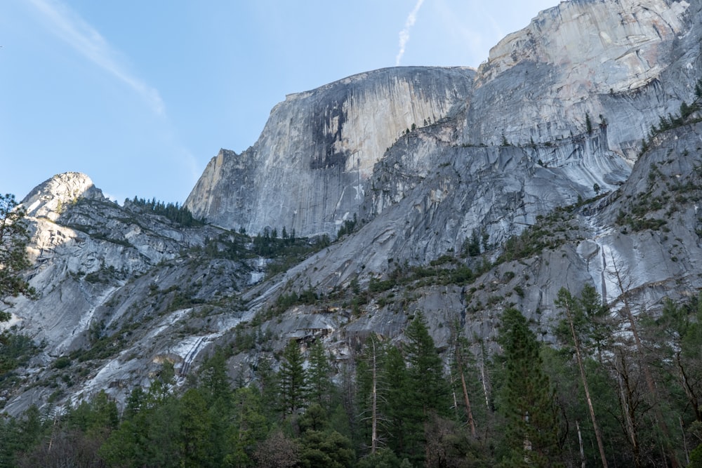 a view of a mountain with trees in the foreground