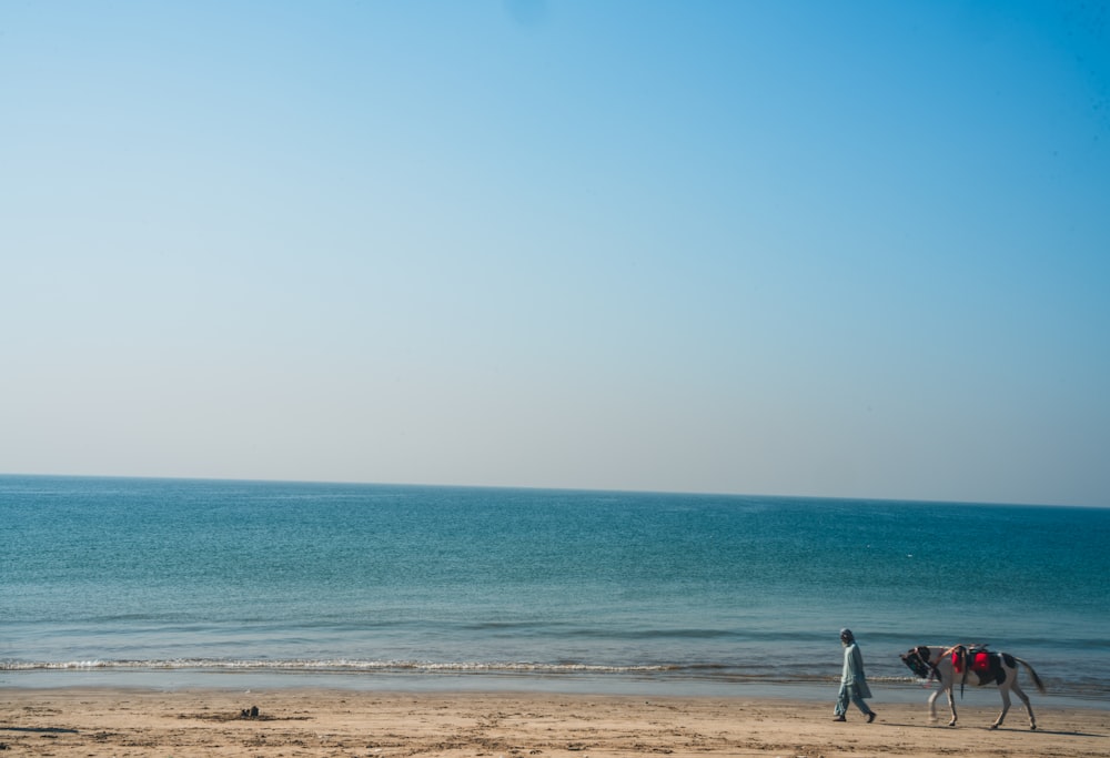 해변에서 말을 걷는 사람