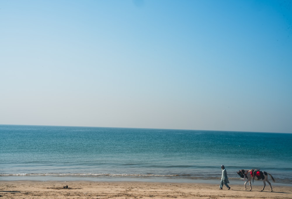 a person walking a horse on a beach