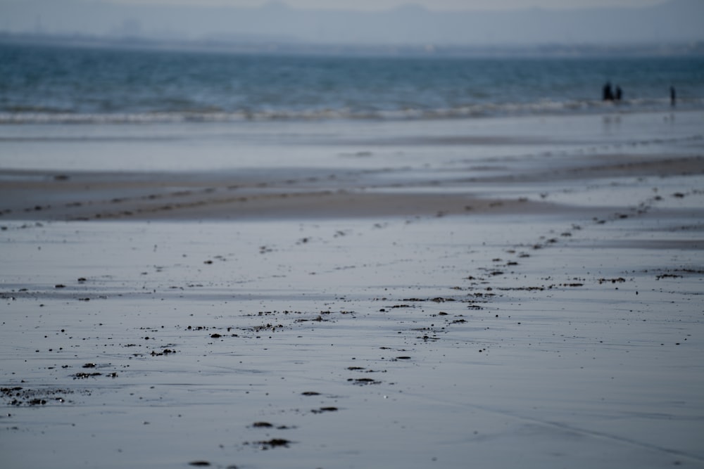 a wet beach with footprints in the sand