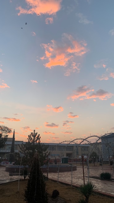 A serene sunset behind our meeting space, symbolizing hope and vision
