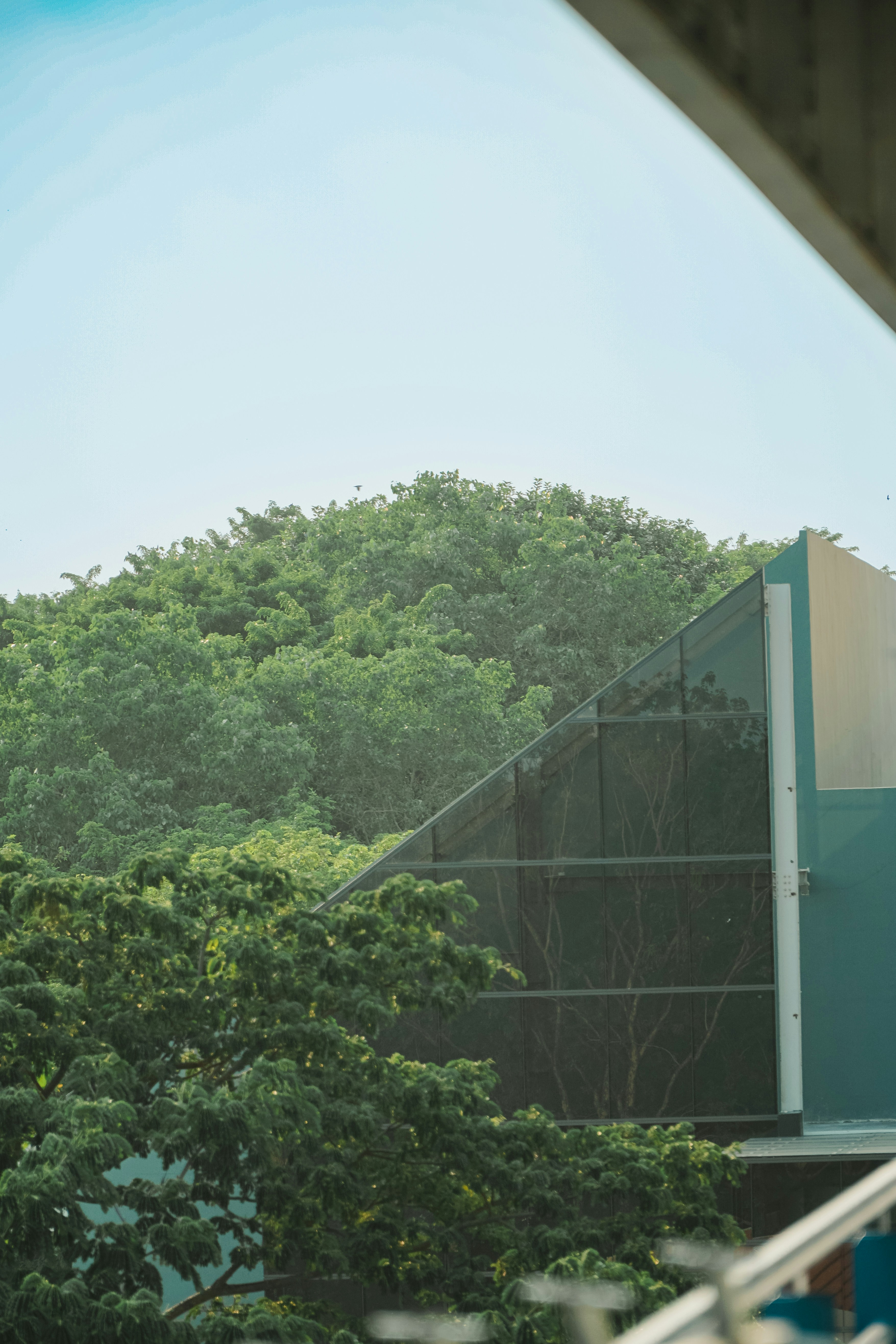 a view of a building through a window