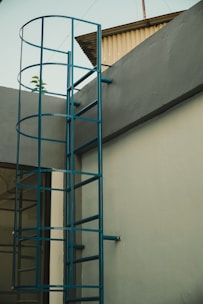 A metal ladder with a blue safety cage is attached to the side of a building, leading up to the rooftop. The building is painted in shades of gray, with a metal roof overhang partially visible. The background includes a clear sky with a small portion of a plant visible over the edge of the rooftop.