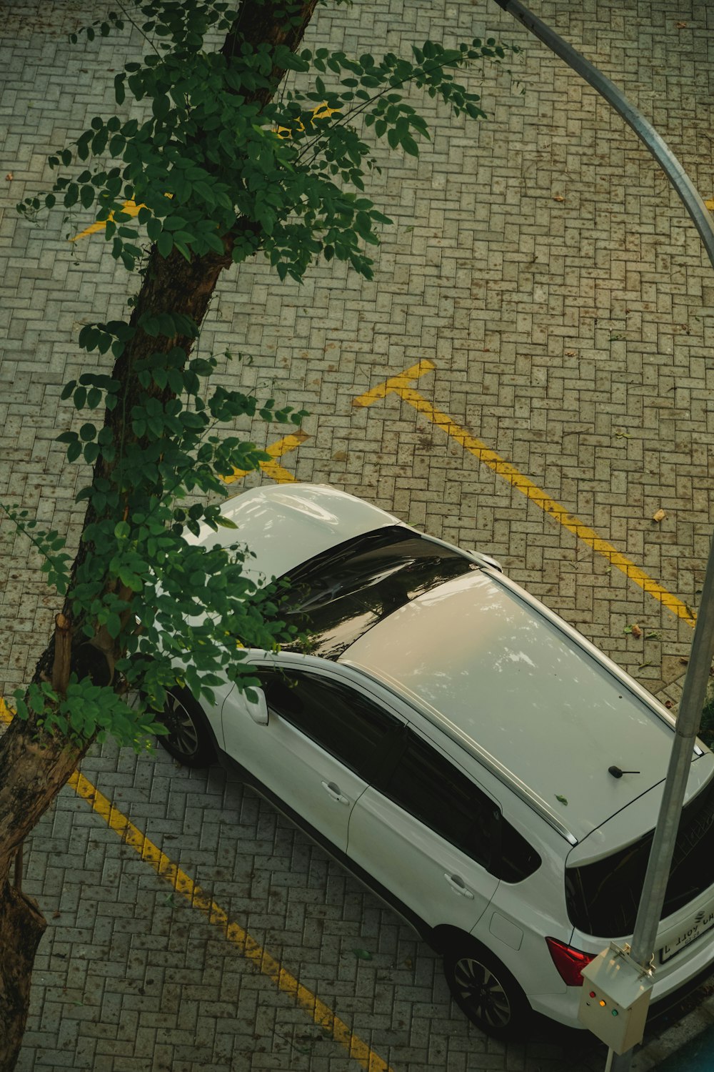 a white car parked in a parking lot next to a tree