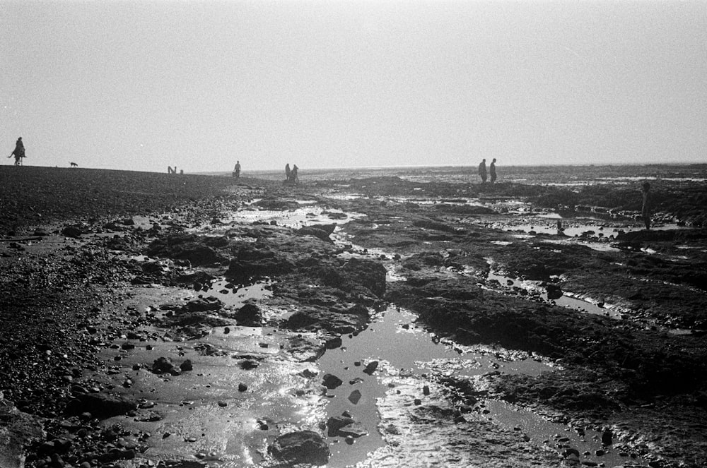 um grupo de pessoas em pé no topo de uma praia rochosa
