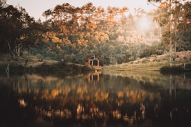 A scenic landscape featuring a small cabin nestled among dense trees, with their autumn-colored foliage beautifully reflected in the still water of a lake. Soft, warm lighting from the setting or rising sun casts an enchanting glow over the entire scene.