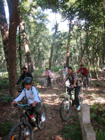 A group of friends cycling along a forested trail with dappled sunlight.