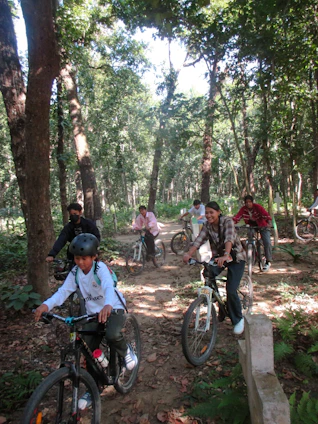 A family enjoying a sunny day riding terraride bicycles along a tree-lined path.