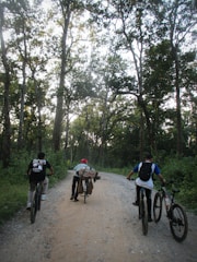 A group of cyclists riding through a misty forest trail at dawn, their faces glowing with excitement.