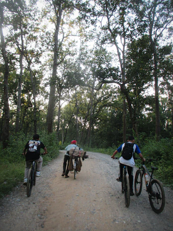 A group of riders laughing together while exploring a quiet, tree-lined path near historic ruins.