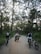 Group of cyclists riding through a sunlit forest path in Ibiza.