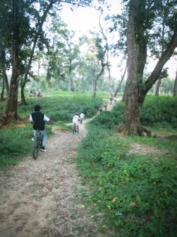 A lush forest path with several bicyclists riding along the trail. The scene includes tall trees with dense green foliage, and the path is surrounded by grass and shrubs. The atmosphere is serene, conveying a sense of freedom and adventure as the cyclists make their way through nature.