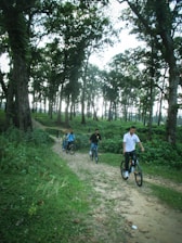 Group of mountain bikers riding through a lush forest trail near Montauban on a sunny day.