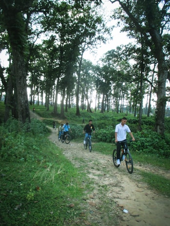 Group of mountain bikers riding through a lush forest trail near Montauban on a sunny day.