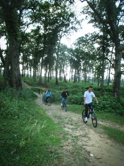 A group of friends riding vintage bicycles through a sunlit forest trail, laughing and enjoying the ride.