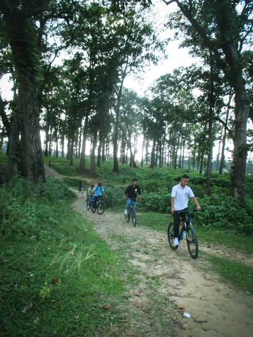 Group of friends laughing and riding ATVs through a lush green forest path
