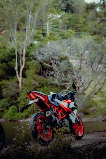 A sports motorcycle with striking red and white details is parked in a lush, green natural setting. The bike features prominent red wheel rims and a sleek, aerodynamic design. Trees and a body of water can be seen in the background, adding a serene contrast to the motorcycle's dynamic appearance.